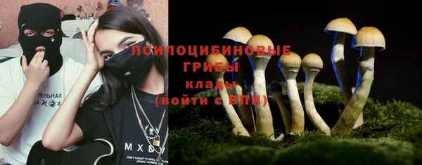 мдма Горняк