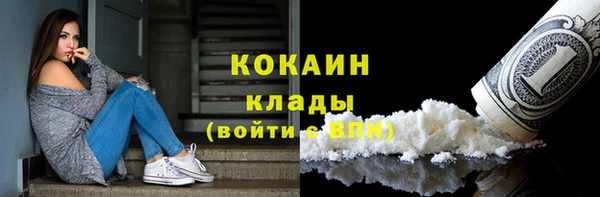 мет Дмитров