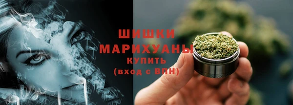молекула духа Горно-Алтайск