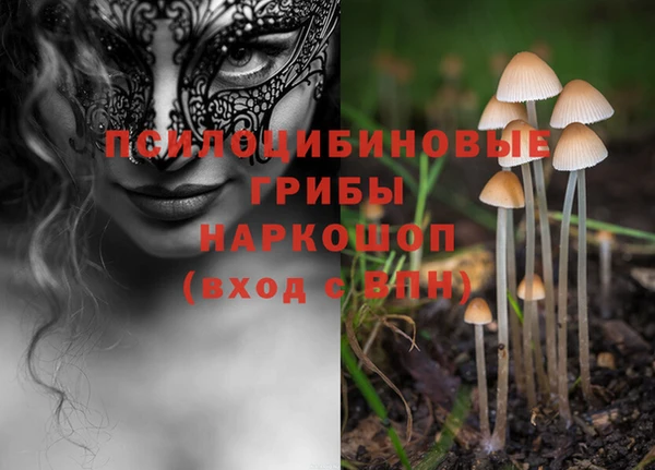 молекула духа Горно-Алтайск