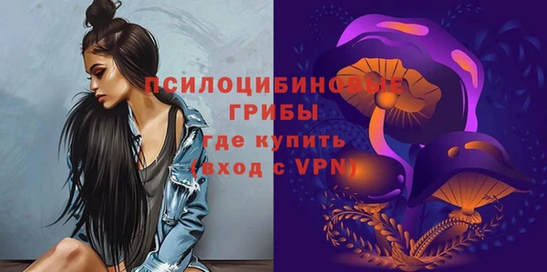 молекула духа Горно-Алтайск