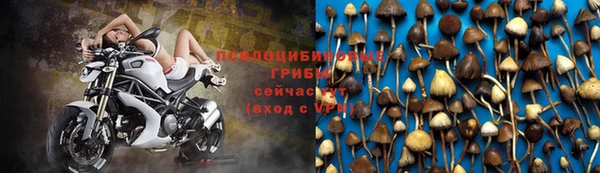 мдма Горняк