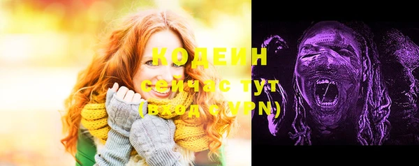 молекула духа Горно-Алтайск