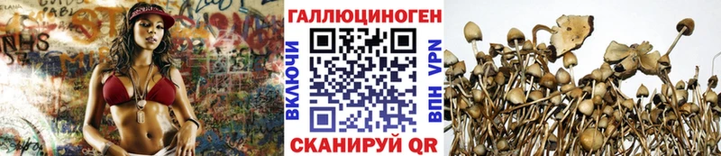 Псилоцибиновые грибы ЛСД  магазин продажи наркотиков  Приморско-Ахтарск 